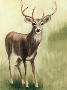 11" x 14" oil on canvas $125.00