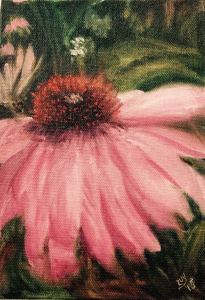 Pretty in Pink - Coneflower